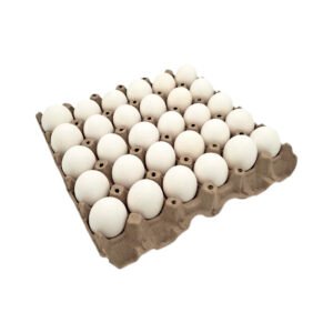 Huevo Blanco Orgánico cartón de 30u