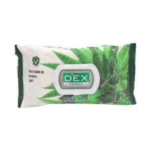 Toallas Húmedas Dex Family Aloe Vera (72 u)