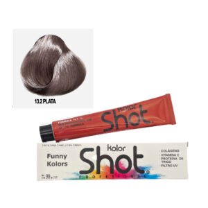 Tinte 13.2 Plata Kolor Shot 90g
