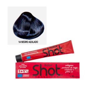 Tinte 1A Negro Azulado Kolor Shot 90g