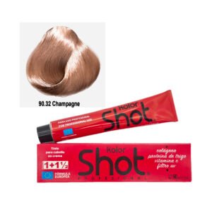 Tinte 90.32 Champagne Kolor Shot 90g