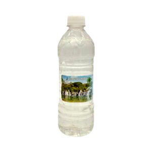 Agua Natural Tratada El Espejo 500ml
