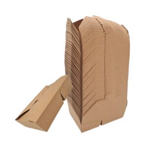 Caja de Carton Controlpack Dos Compartimentos 210x155x45 50u